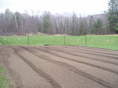 Deer Fence 7.5 Foot High 100 foot or 200 foot  Heavy Duty Kit