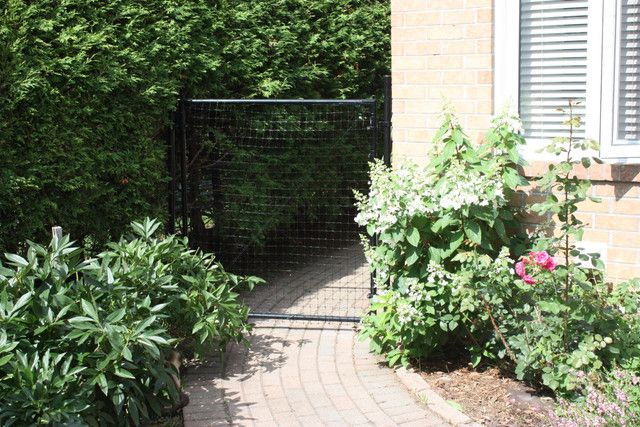 Dog Fence Gates