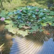 Tenax Bird Plant &amp; Pond Protect