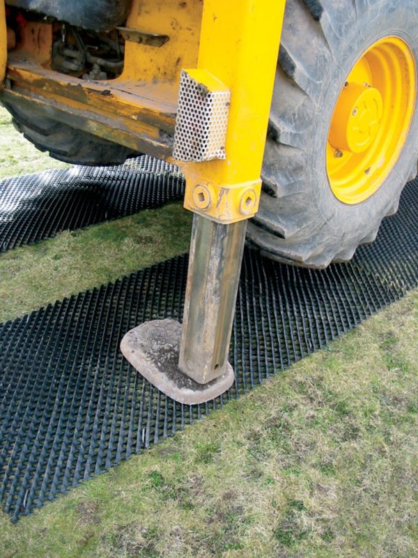 Tenax Trackway ( 4 by 6.5 feet )