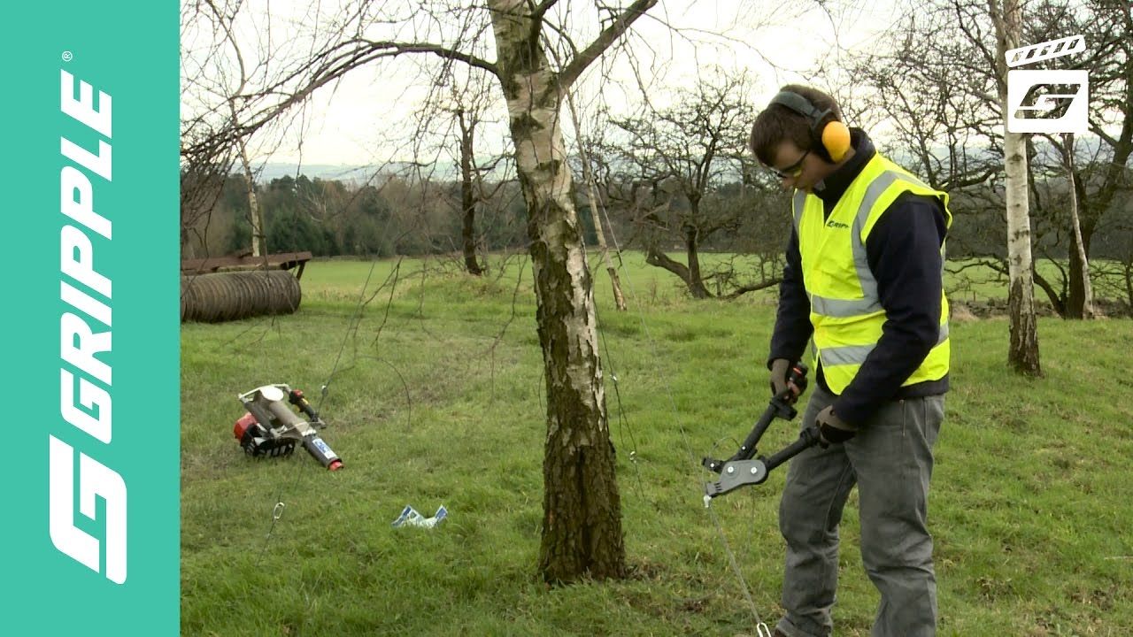 Tree Guying Kit
