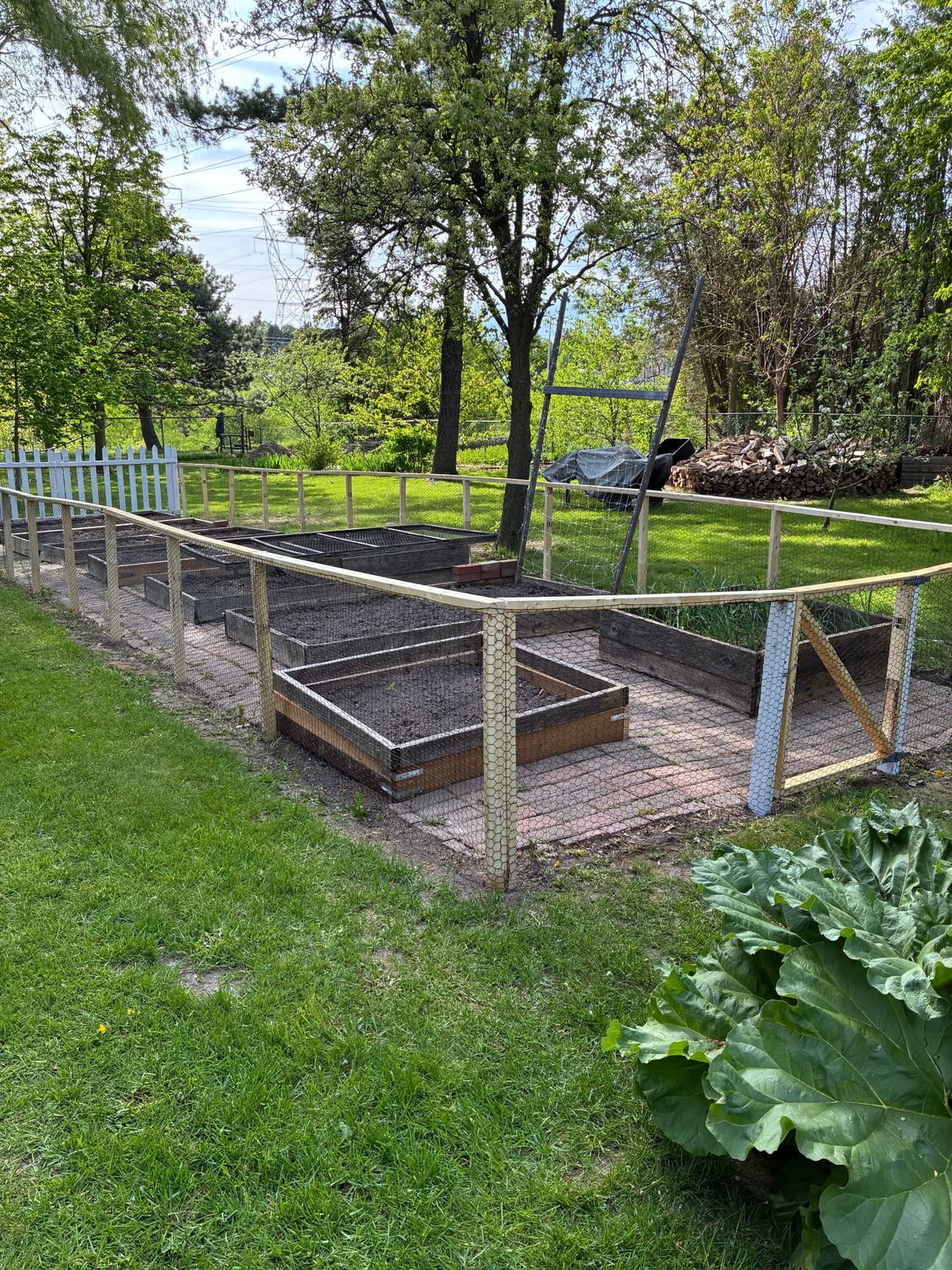 Rabbit Fence