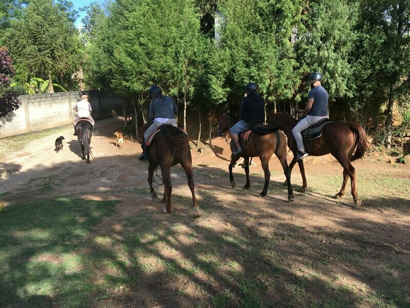 VOUCHER PASSEIO A CAVALO DE 1 HORA