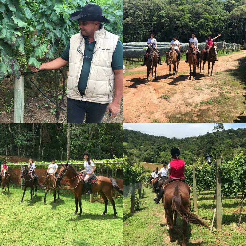 Voucher Passeio a cavalo até a vinícola 2 horas de duração