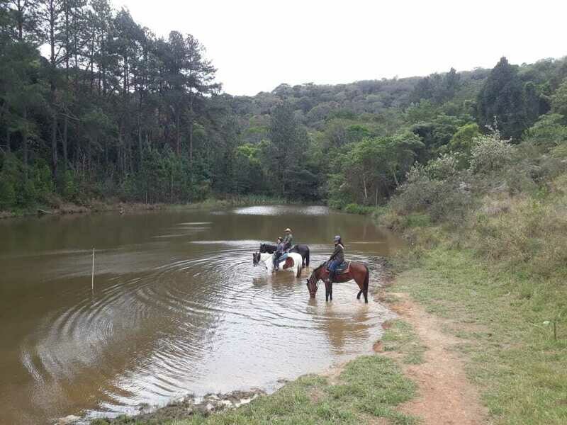 Voucher Passeio a cavalo trilha ecológica + lago com 2 horas de duração