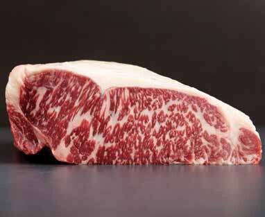 STRIPLOIN - 4*5