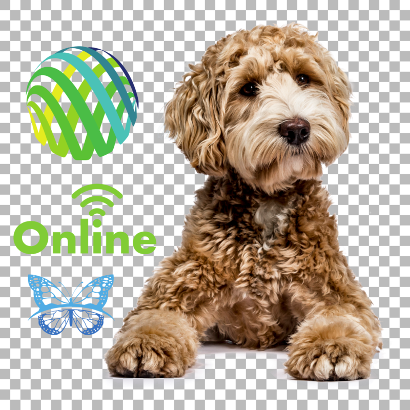 Convert File