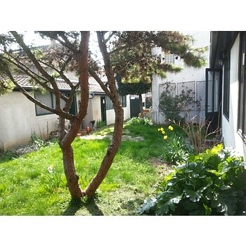 Maison de 80 m² avec dépendance à Cachan