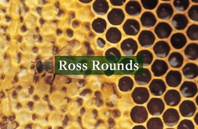 Comb Honey & Pollen