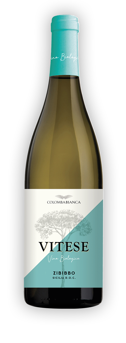 SICILIA * Colomba Bianca - Zibibbo Vitese Bio 2024 (93 punti)