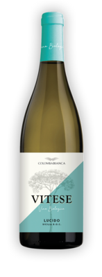 SICILIA * Colomba Bianca - Lucido Catarratto Bio 2023 (96 punti)