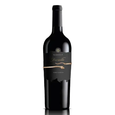 SICILIA * Sacrocolle - Rocaille Nero d&#39;Avola 2018 (97 punti)