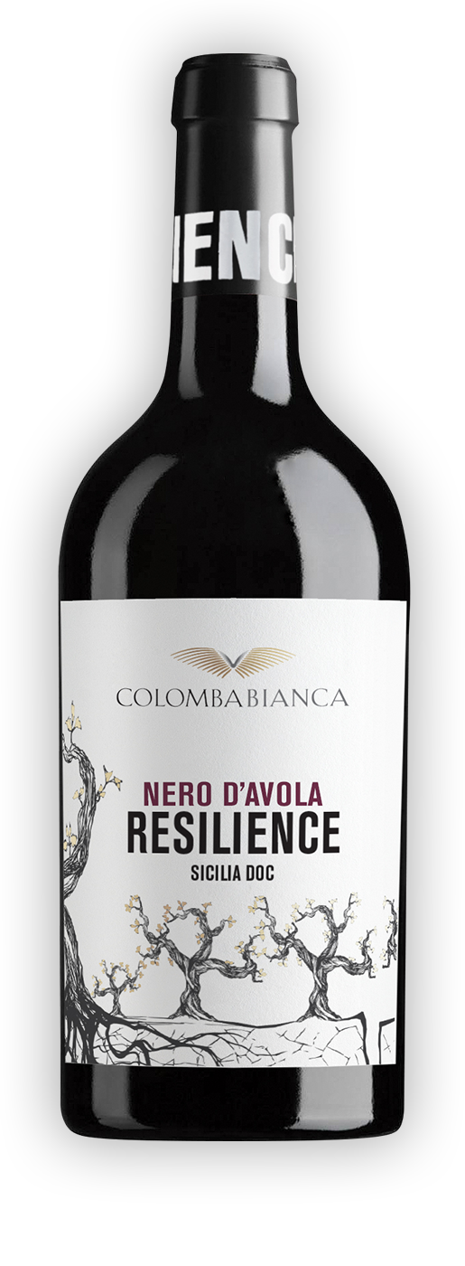 SICILIA * Colomba Bianca - Resilience Nero d&#39;Avola 2023