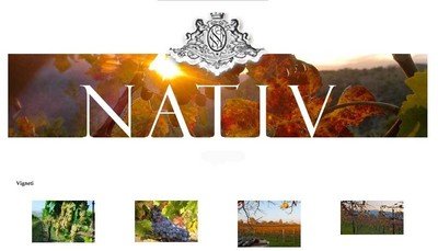 CAMPANIA * Nativ - Aglianico Rue dell'Inchiostro 2021 (97 punti)