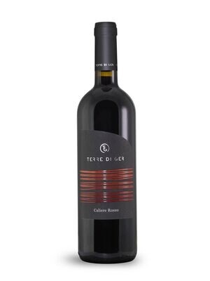 FRIULI * Terre di Ger - Caliere Rosso 2020 (97 punti)