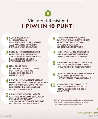 FRIULI * Terre di Ger - Caliere Rosso 2020 (97 punti)
