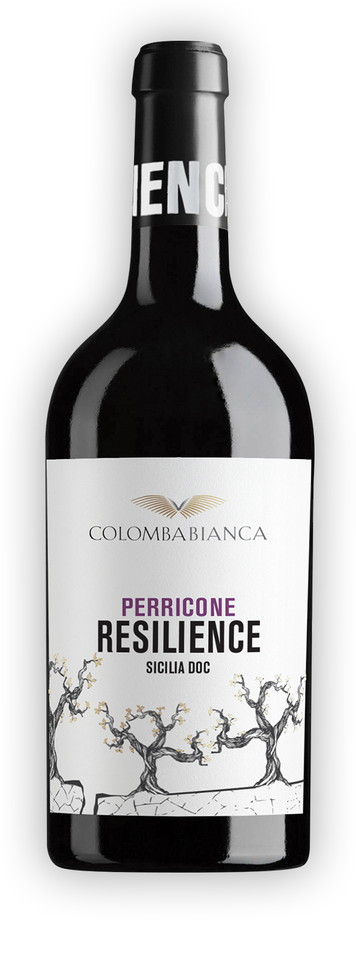 SICILIA * Colomba Bianca - Resilience Perricone 2024