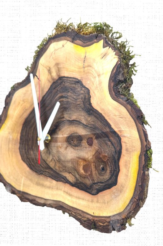 Handgefertigte Baumscheibe -Wanduhr aus massivem Nußbaum