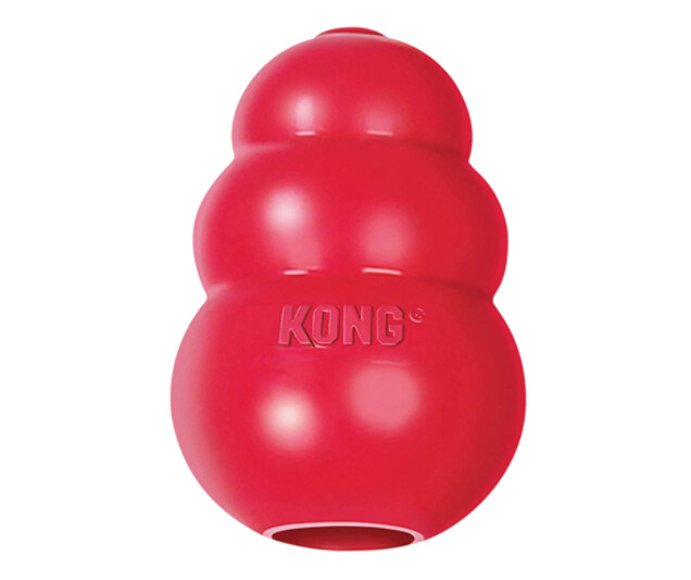 Kong - Jouet Classic M