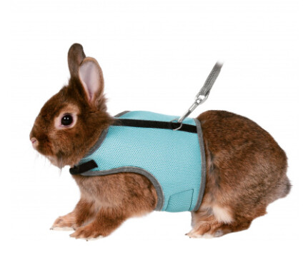 Trixie - Harnais Soft et laisse pour lapin