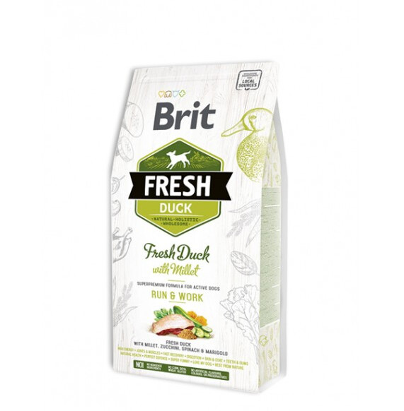 Brit Fresh - Adult canard et millet 2.5kg