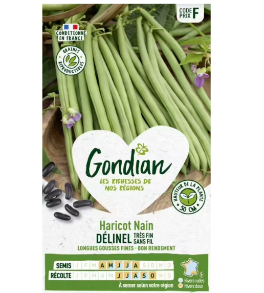 Gondian - Haricot nain Delinel