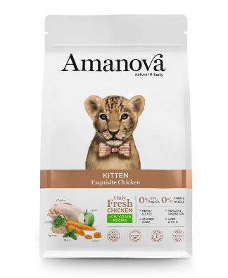 Amanova - Kitten Poulet exquis