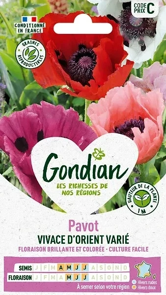 Gondian - Semence de Fleurs
