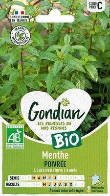 Gondian - Semence de plantes aromatiques