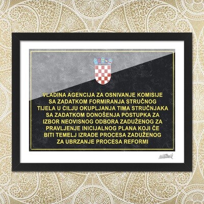 Vladina agencija