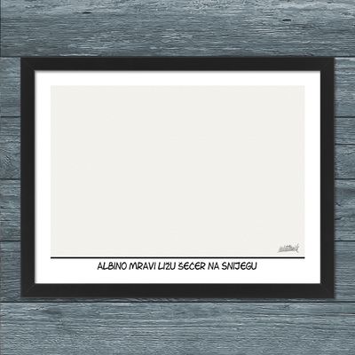 Albino mravi