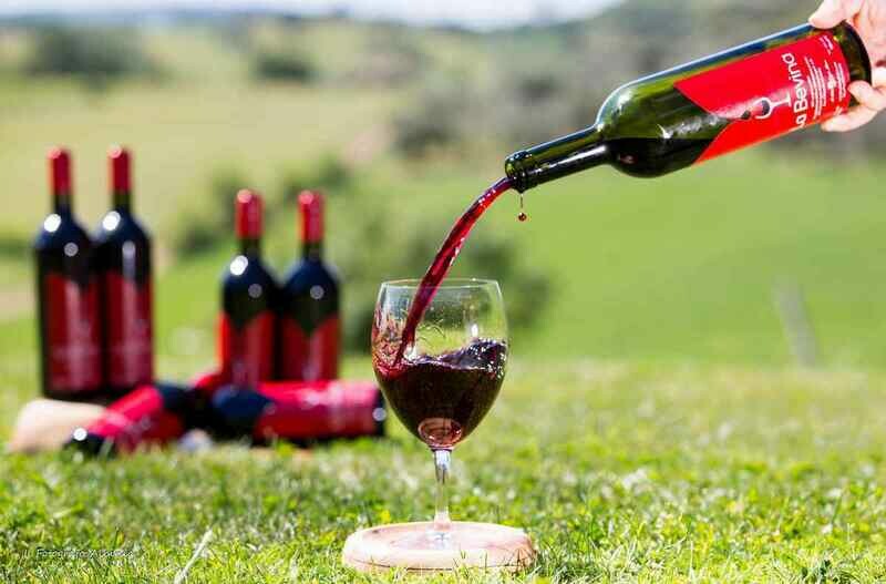 "La Bevina" BOTT. 750 ml. - IGT Toscana Rosso Sangiovese in purezza 2021