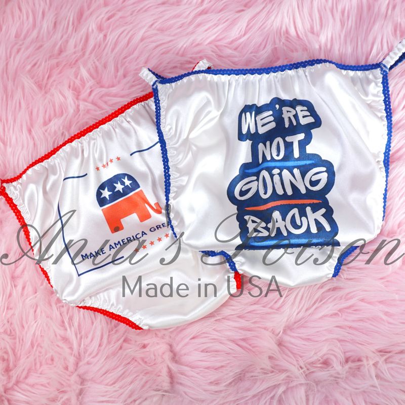 Remember 2024 Election panties Blue and Red options