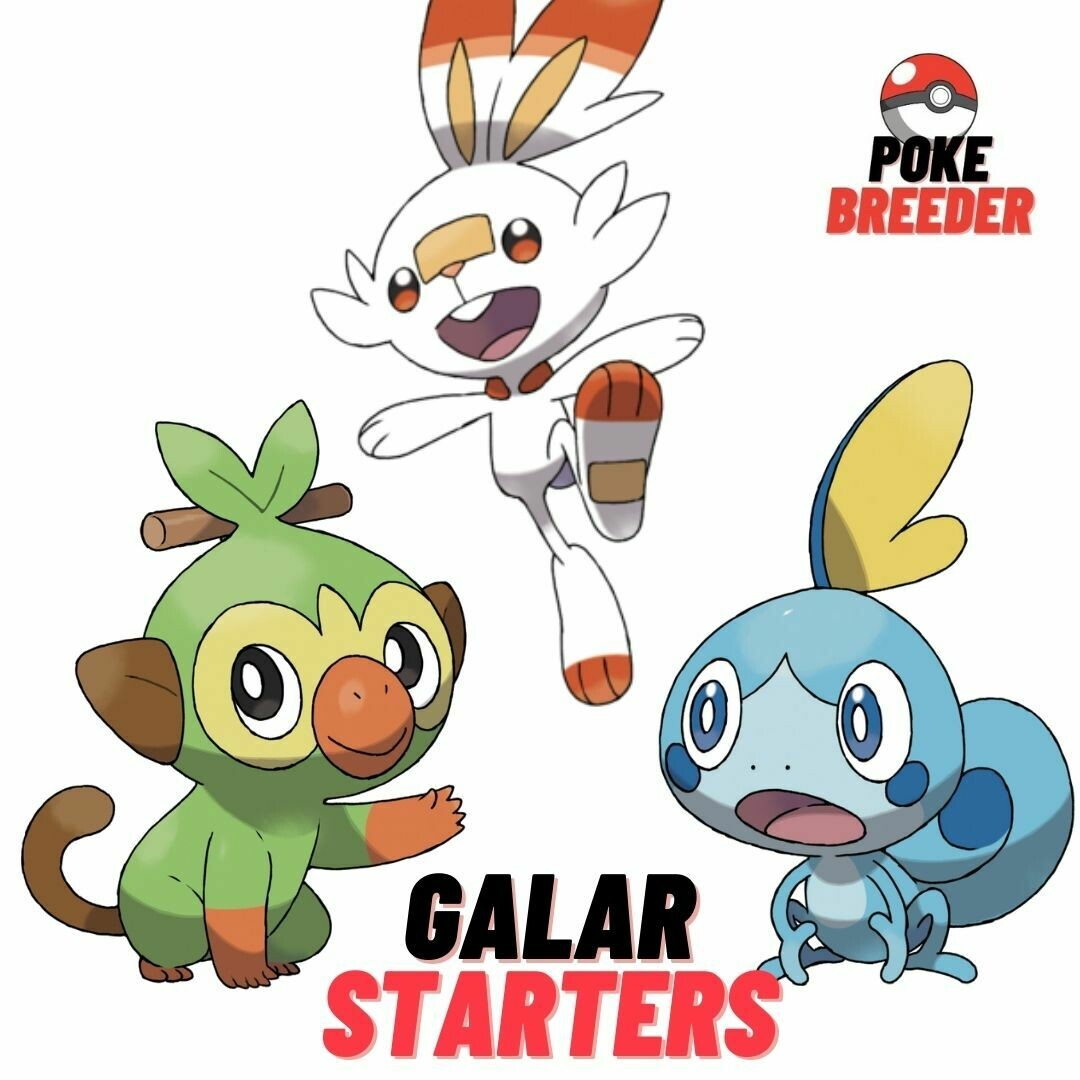 Galar Starters 6IV (Lv.5) - Pack