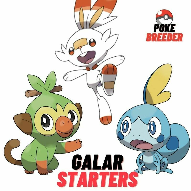 Galar Starters 6IV (Lv.5) - Pack