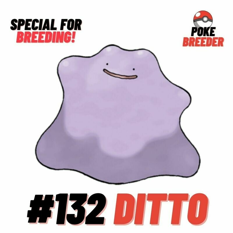 Ditto 6IV (Lv.100) - Destiny Bond