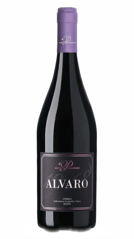 Alvaro Umbria rosso 2020 IGT (Sangiovese.Ciliegiolo,Merlot)  Azienda Agricola Purgatorio- 75cl