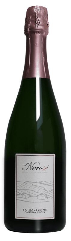 Nerosè Spumante ( Pinot Nero- Metodo Classico, 36 mesi)Rosè;
La Madelaine -75cl