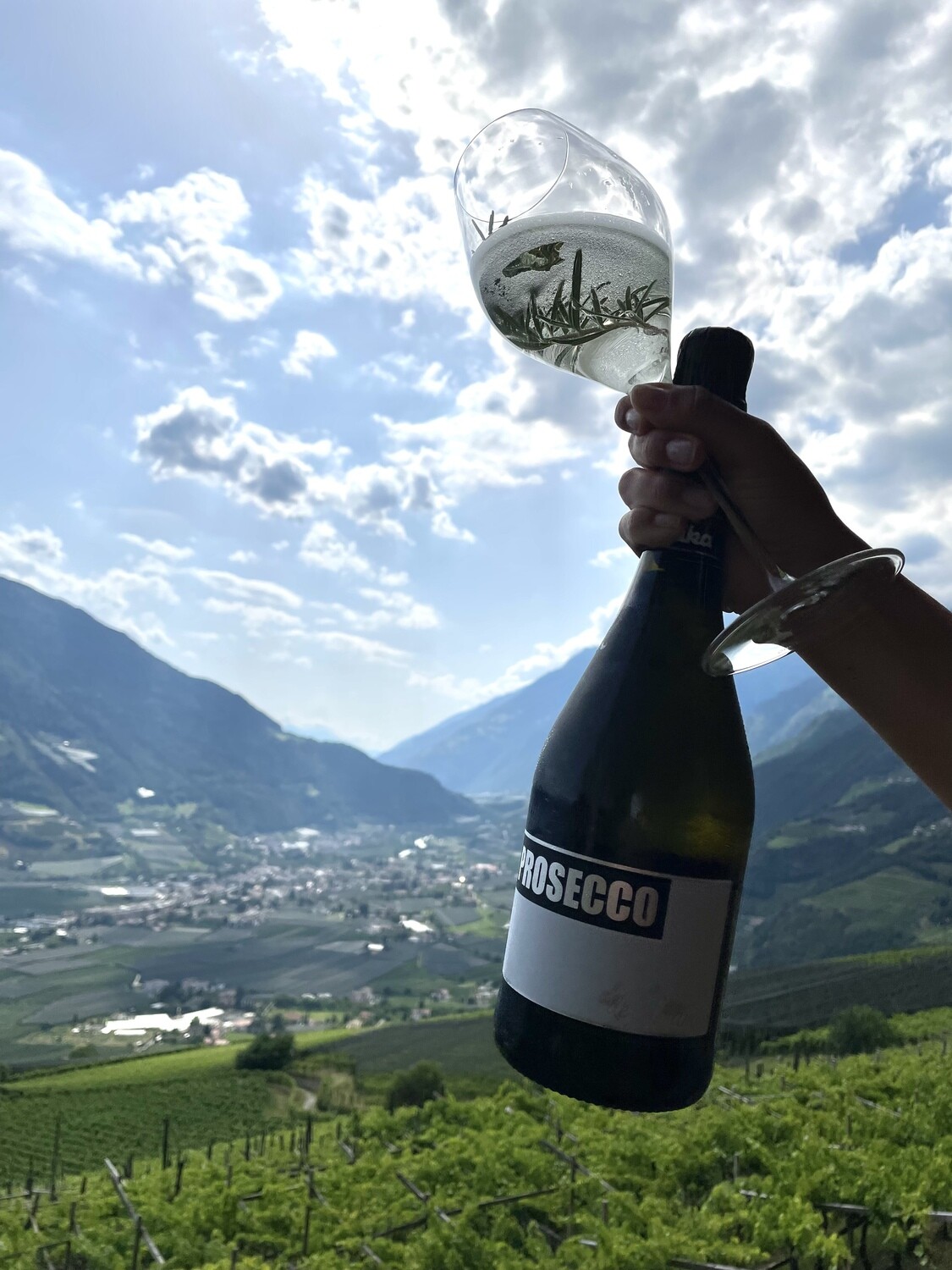 6 Flaschen Prosecco degli amici - cuvée Erika
