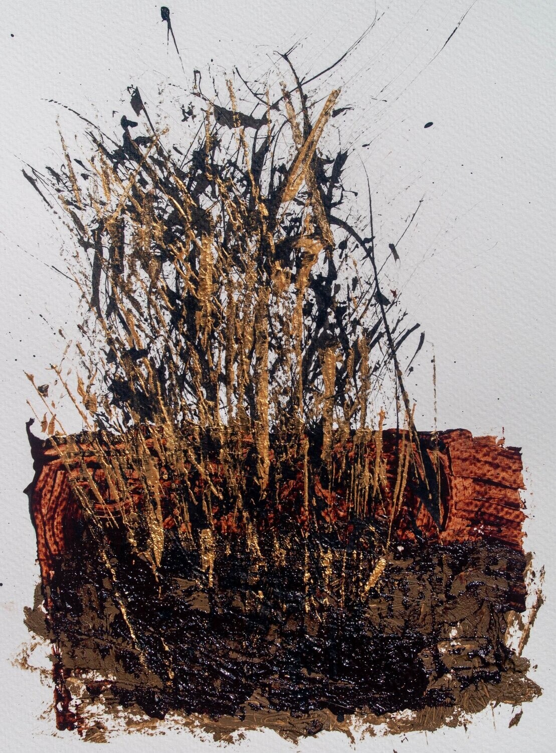 TIERRA ORO III