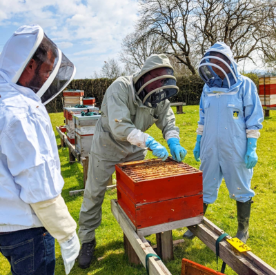 Private Beekeeping Taster Session