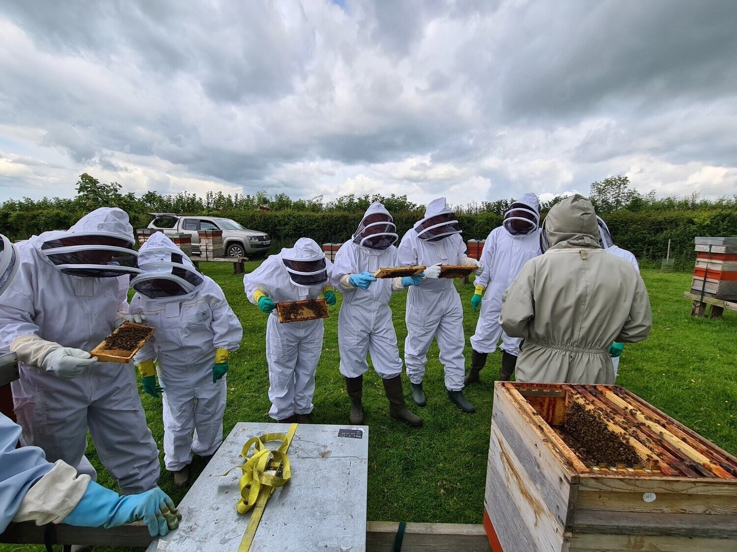 Beekeeping Taster Session - Sunday 26th July 2026 Beekeeping Taster Session - Sunday 26th July 2026