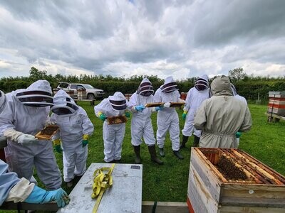 Beekeeping Taster Session - Sunday 26th July 2026 Beekeeping Taster Session - Sunday 26th July 2026