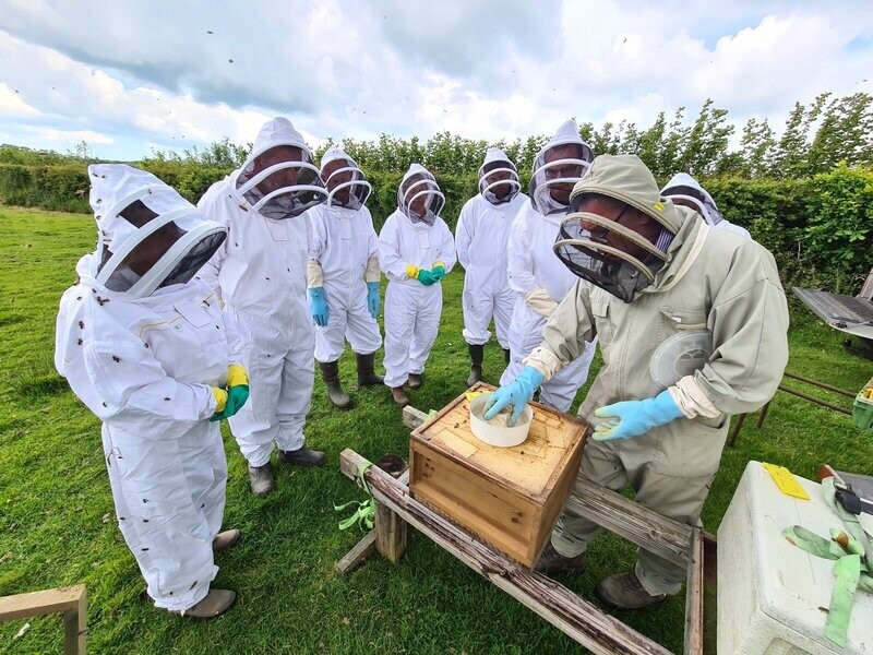 Beekeeping Taster Session - Saturday 20th June 2026 Beekeeping Taster Session - Saturday 20th June 2026