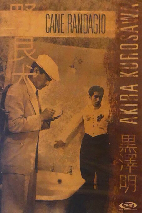 CANE RANDAGIO (DVD)
