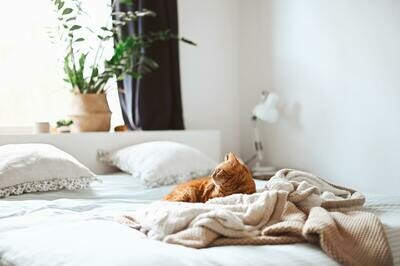 Bed Covers