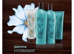 Jasmin - Collection Hydratante