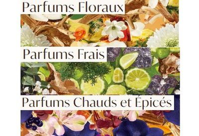 Moroccanoil - Produits par Parfum