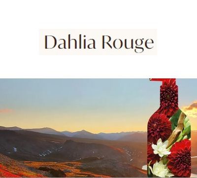 Moroccanoil - Corps - Dahlia Rouge