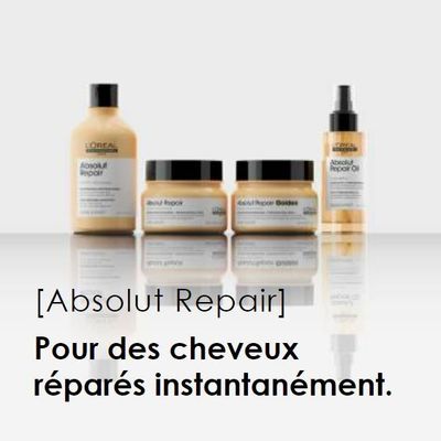 Absolut Repair